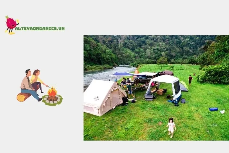 Điểm Danh Các Khu Cắm Trại Chill Cho Giới Trẻ