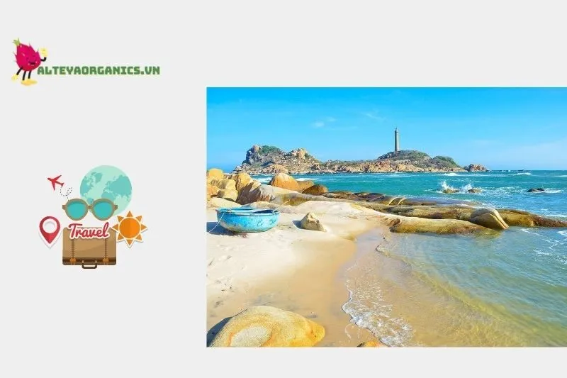 Bãi Rạng ở đâu? Vì sao đây là điểm đến thu hút?