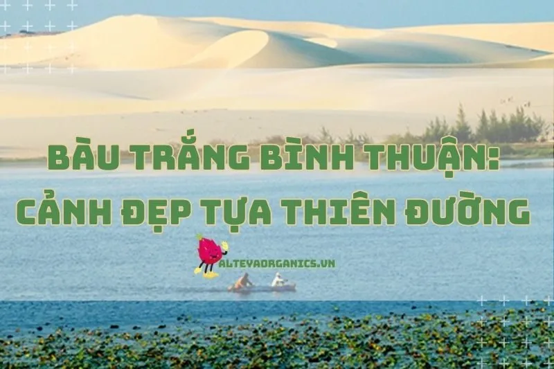 Bàu Trắng Bình Thuận: Cảnh Đẹp Tựa Thiên Đường 2024