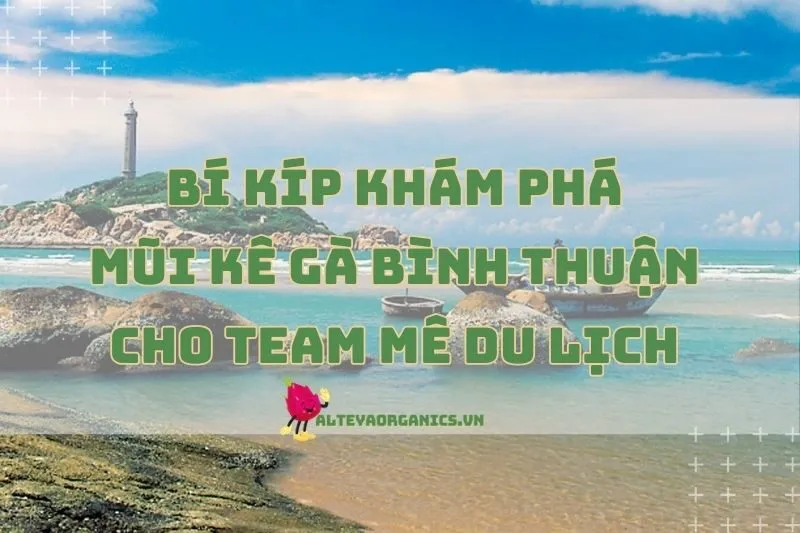 Bí kíp khám phá Mũi Kê Gà Bình Thuận cho team mê du lịch 2024