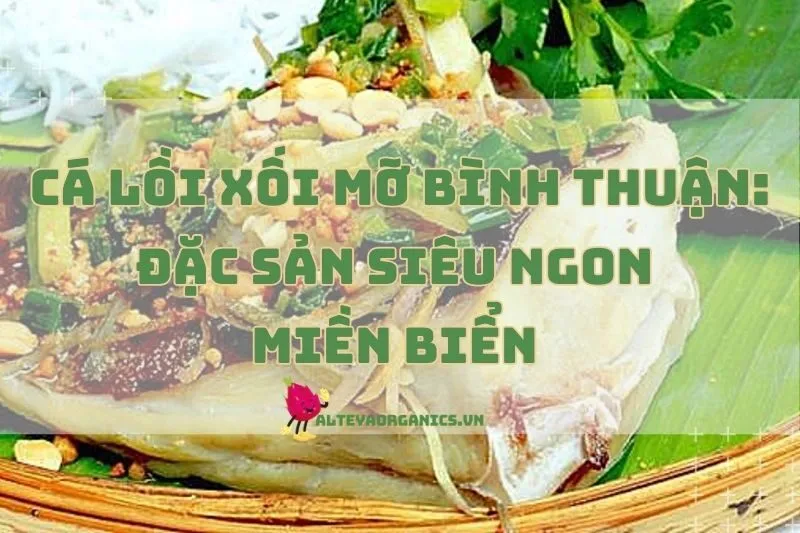 Cá lồi xối mỡ Bình Thuận: Đặc sản siêu ngon miền biển 2024