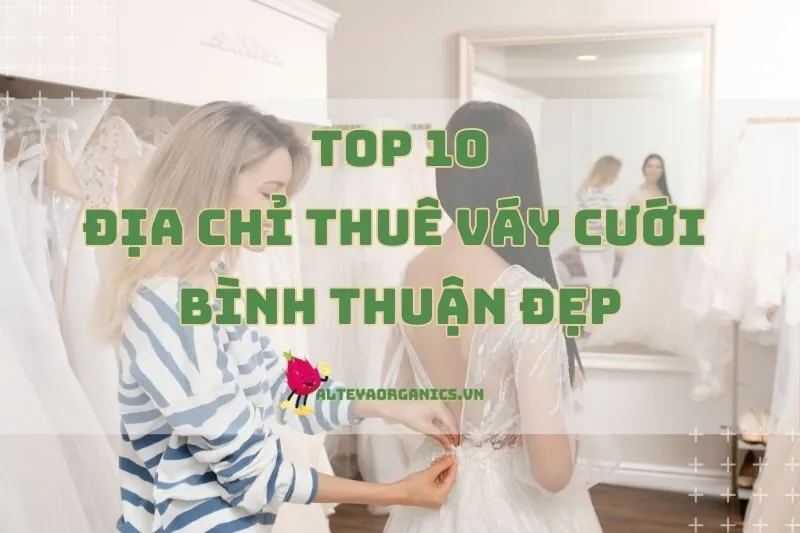Các Địa Chỉ Thuê Váy Cưới Bình Thuận Không Làm Bạn Thất Vọng 2024