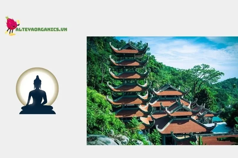 Chùa Núi Tà Cú ở đâu?