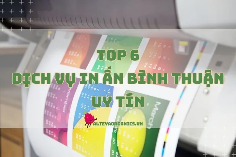 Dịch Vụ In Ấn Bình Thuận: Top Công Ty Uy Tín Nhất Hiện Nay 2024