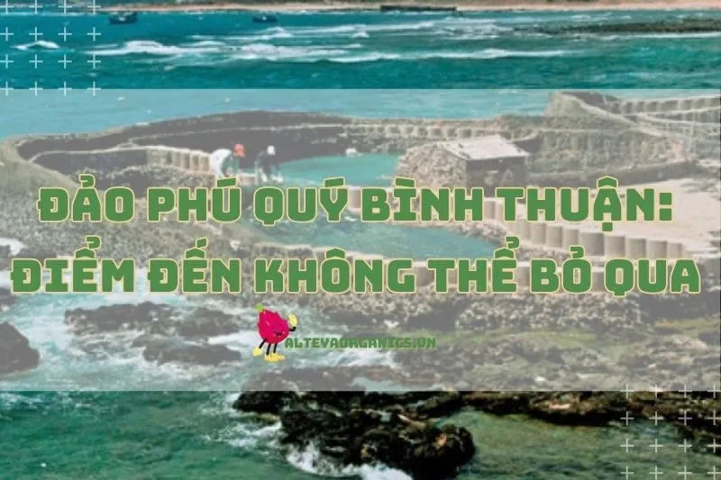 Du Lịch Đảo Phú Quý Bình Thuận: Điểm Đến Không Thể Bỏ Qua 2024