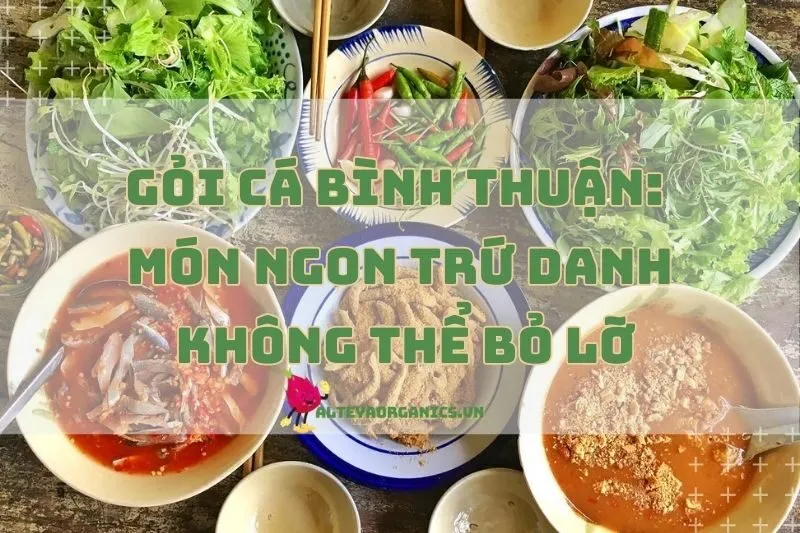 Gỏi cá Bình Thuận: Món ngon trứ danh miền biển không thể bỏ lỡ 2024