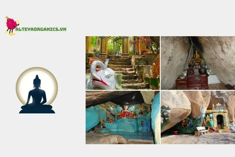 Hoạt động tâm linh và trải nghiệm tại Chùa Cổ Thạch