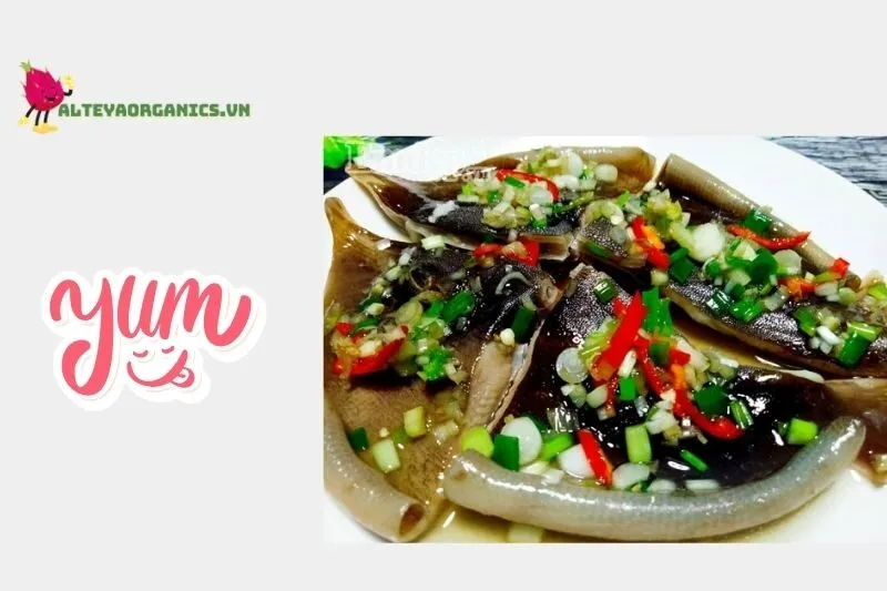 Khám phá cá lồi xối mỡ Bình Thuận có gì đặc biệt?