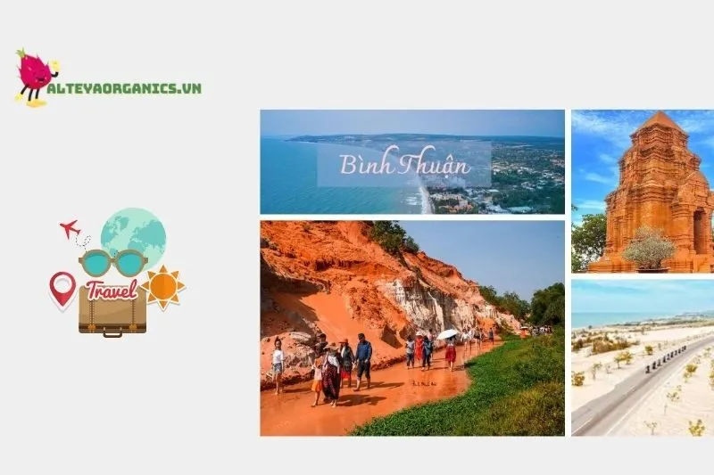 Khám Phá Những Điểm Đến Gần Mũi Yến Bình Thuận