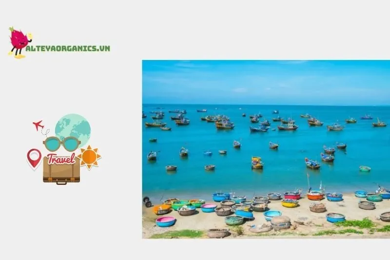 Làng chài Bãi Rạng: Nét đẹp văn hóa và cuộc sống vùng biển