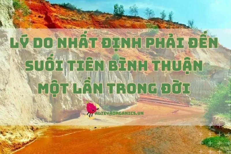 Lý do nhất định phải đến Suối Tiên Bình Thuận một lần trong đời 2024