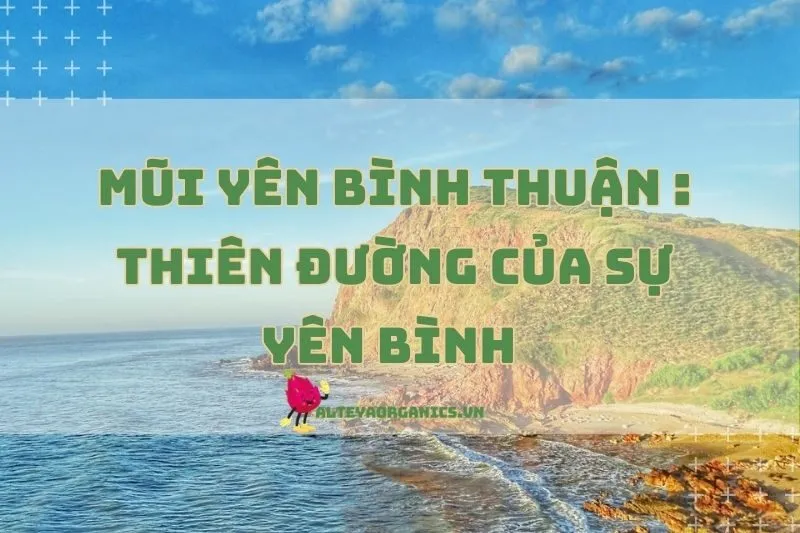 Mũi Yến Bình Thuận: Thiên Đường Của Sự Yên Bình 2024