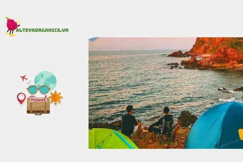 Những Hoạt Động Hấp Dẫn Tại Mũi Yến