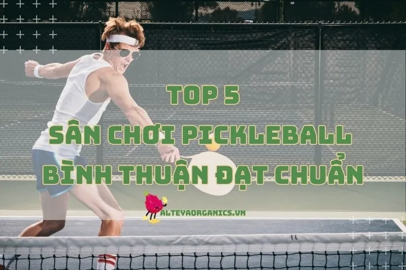 Pickleball Bình Thuận: Đâu Là Sân Chơi Đạt Chuẩn Cho Bạn? 2024