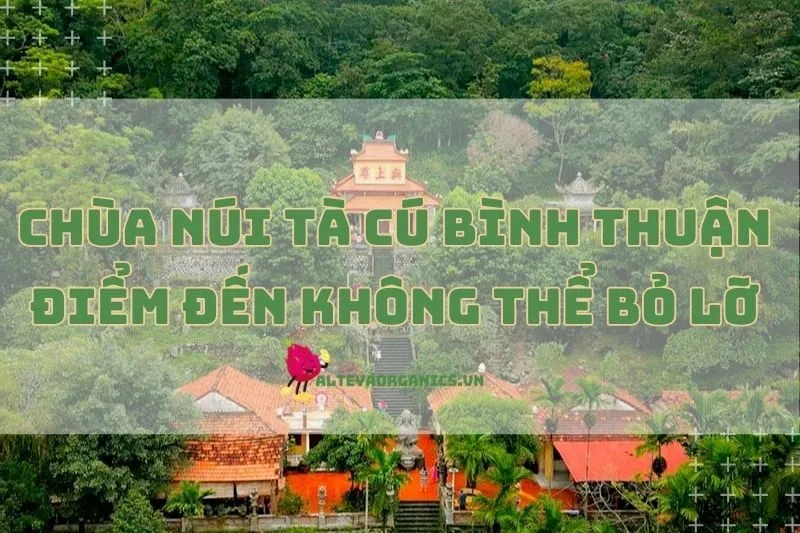 Tại sao Chùa Núi Tà Cú Bình Thuận là điểm đến không thể bỏ lỡ 2024