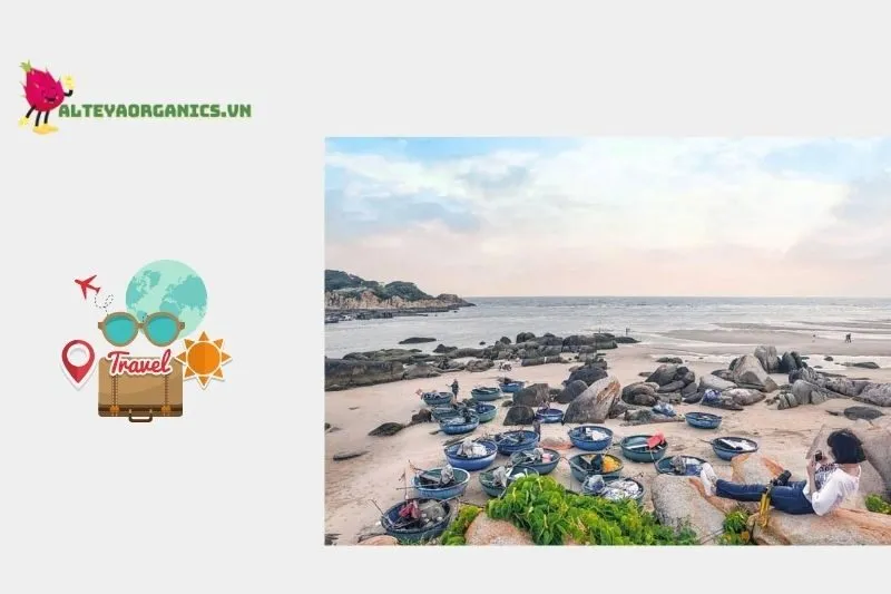 Thời điểm tốt nhất để tham quan Mũi Kê Gà Bình Thuận