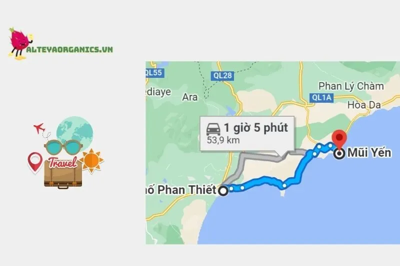 Tổng Quan Về Mũi Yến Bình Thuận 