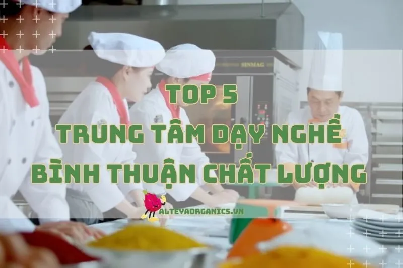Top 5 Trung Tâm Dạy Nghề Bình Thuận Uy Tín Và Chất Lượng Nhất 2024