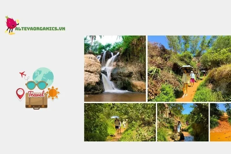 Trải nghiệm hấp dẫn không thể bỏ qua tại Suối Tiên