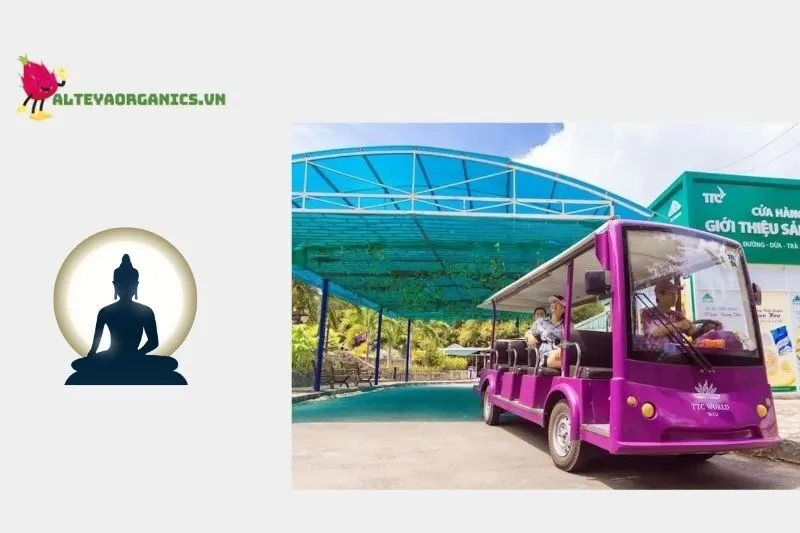 Xe điện tham quan