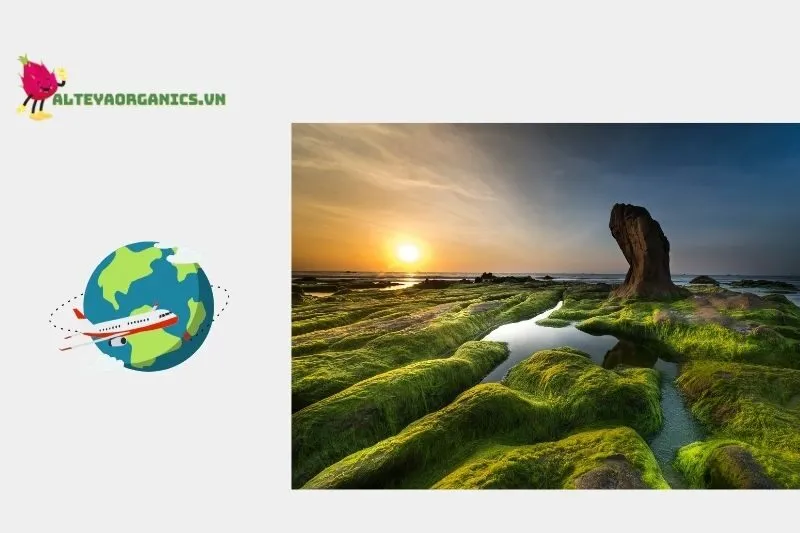 Bãi biển Cổ Thạch nằm ở đâu?