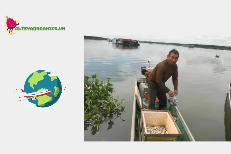 Câu cá giữa thiên nhiên hoang sơ