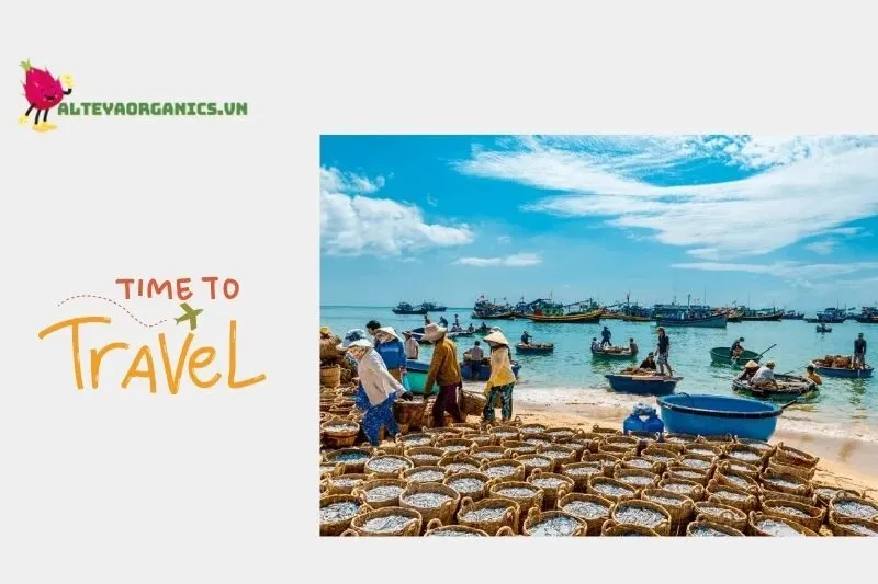 Chợ cá buổi sáng