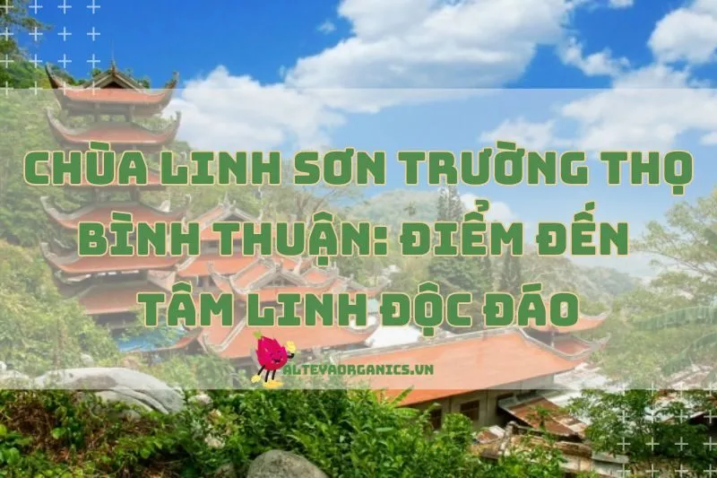 Chùa Linh Sơn Trường Thọ Bình Thuận: Điểm Đến Tâm Linh Độc Đáo 2025