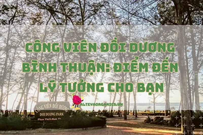 Công viên Đồi Dương Bình Thuận 2025: Điểm đến lý tưởng cho bạn