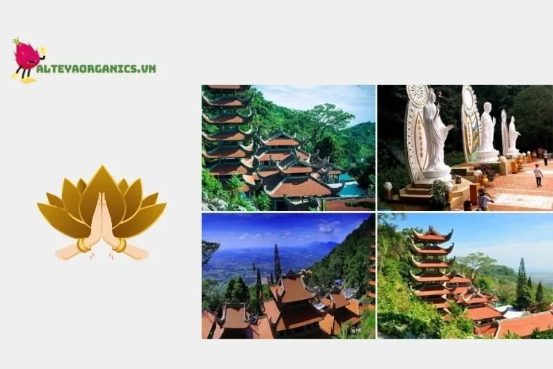 Giới Thiệu Về Chùa Linh Sơn Trường Thọ Bình Thuận