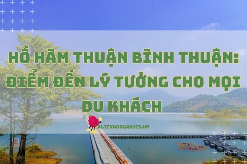 Hồ Hàm Thuận Bình Thuận: Điểm đến lý tưởng cho mọi du khách 2025