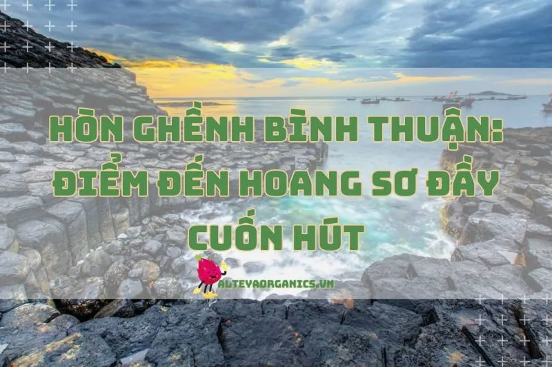 Hòn Ghềnh Bình Thuận 2025: Điểm Đến Hoang Sơ Đầy Cuốn Hút