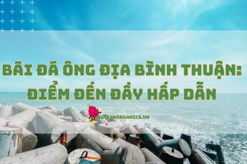 Khám Phá Bãi Đá Ông Địa Bình Thuận: Điểm Đến Đầy Hấp Dẫn 2025