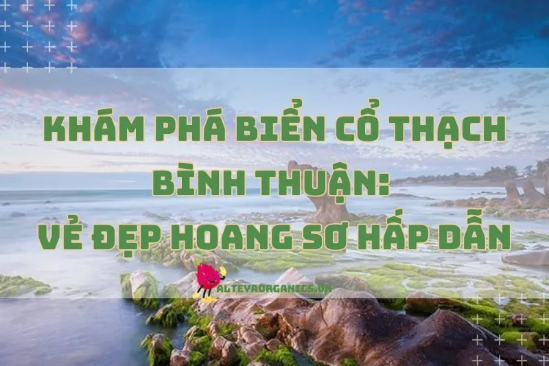 Khám Phá Biển Cổ Thạch Bình Thuận 2025: Vẻ Đẹp Hoang Sơ Hấp Dẫn