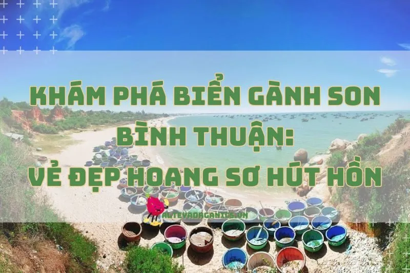 Khám Phá Biển Gành Son Bình Thuận 2025: Vẻ Đẹp Hoang Sơ Hút Hồn