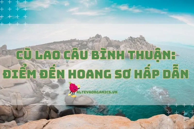 Khám Phá Cù Lao Câu Bình Thuận: Điểm Đến Hoang Sơ Hấp Dẫn 2025