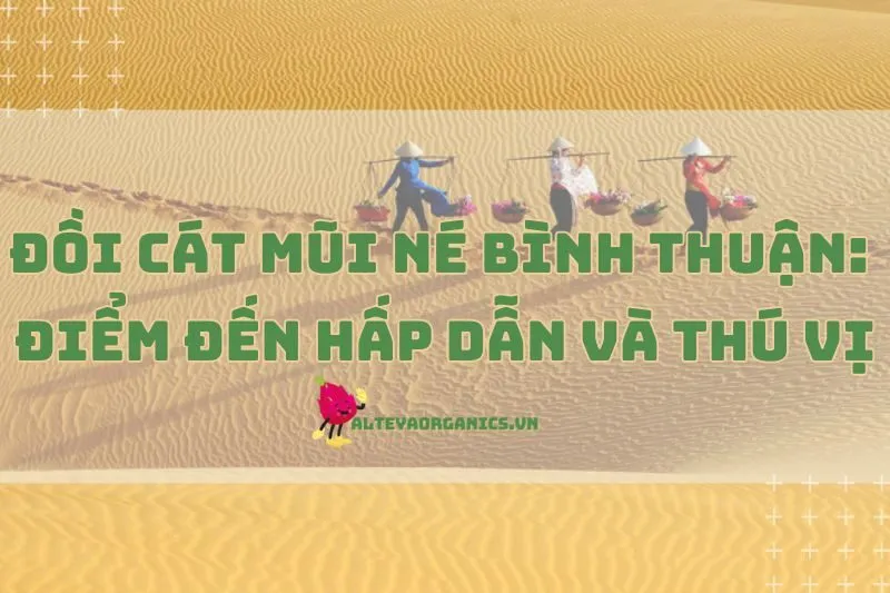 Khám Phá Đồi Cát Mũi Né Bình Thuận 2025: Điểm Đến Hấp Dẫn Và Thú Vị