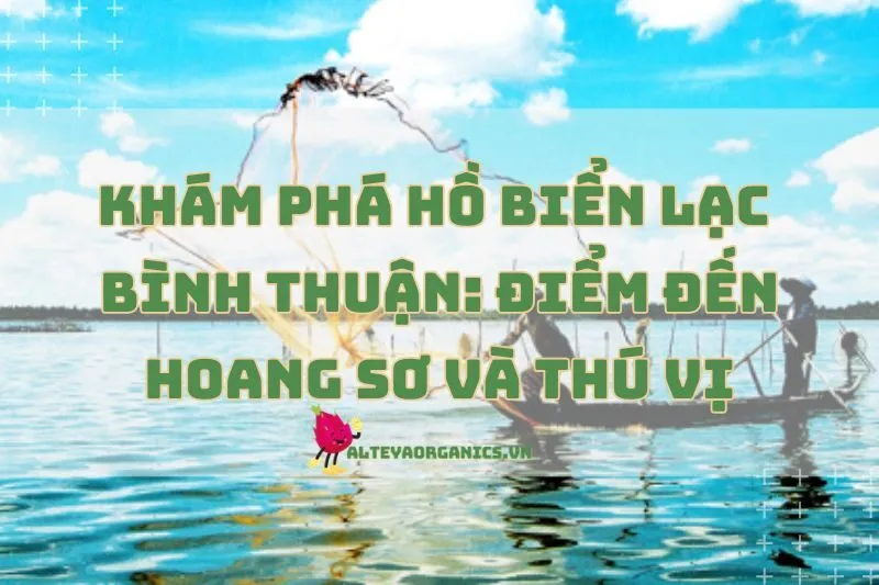 Khám Phá Hồ Biển Lạc Bình Thuận 2025: Điểm Đến Hoang Sơ Và Thú Vị