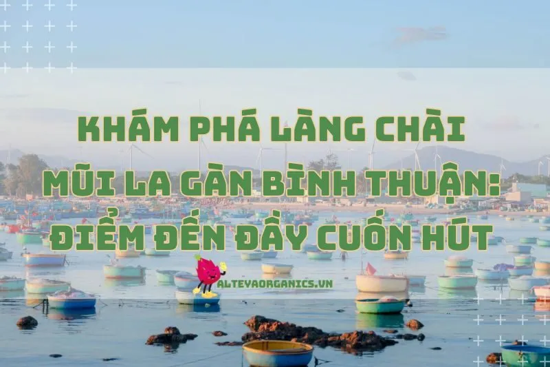 Khám Phá Làng Chài Mũi La Gàn Bình Thuận: Điểm Đến Đầy Cuốn Hút 2025