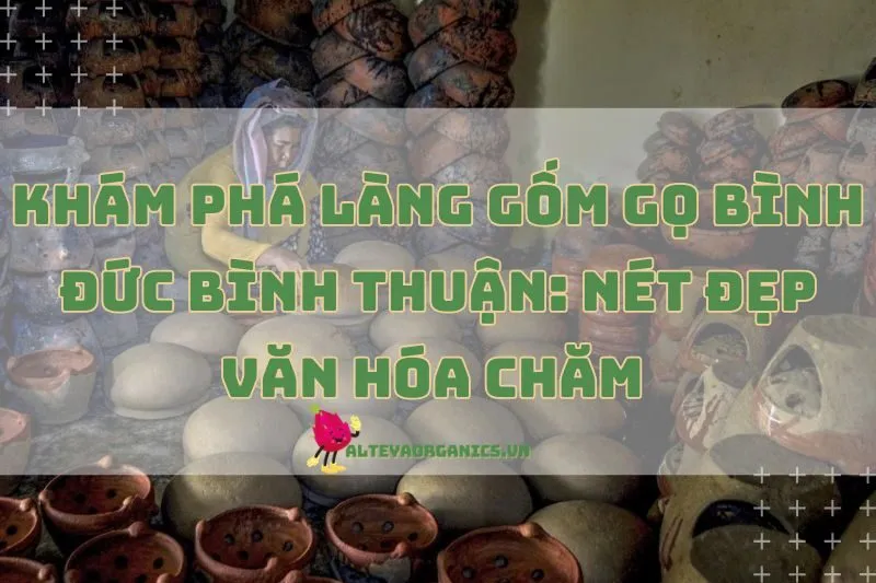 Khám phá Làng gốm Gọ Bình Đức Bình Thuận: Nét đẹp văn hóa Chăm 2025