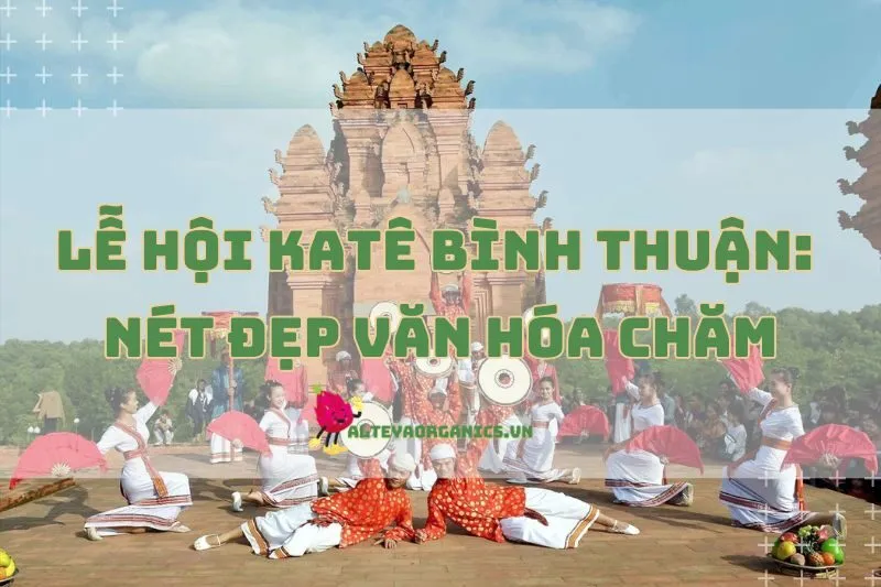 Khám phá Lễ hội Katê Bình Thuận 2025: Nét đẹp văn hóa Chăm độc đáo