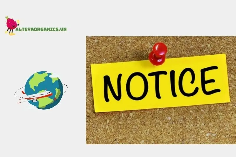 Một Số Lưu Ý Khi Tham Quan Biển Cổ Thạch