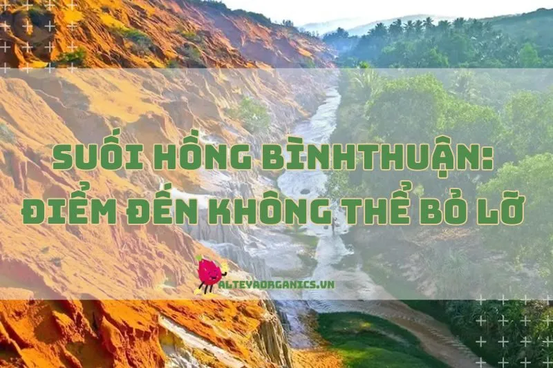 Suối Hồng Mũi Né Bình Thuận: Điểm Đến Không Thể Bỏ Lỡ 2025