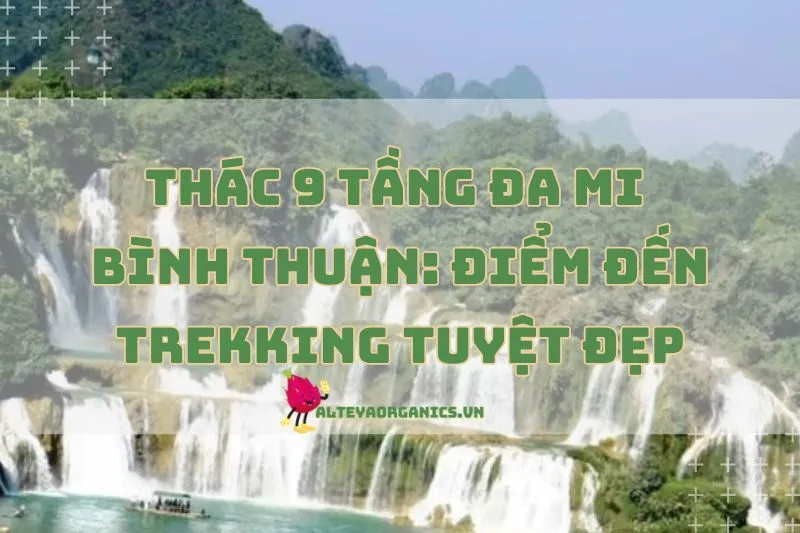 Thác 9 Tầng Đa Mi Bình Thuận: Điểm Đến Trekking Tuyệt Đẹp 2025