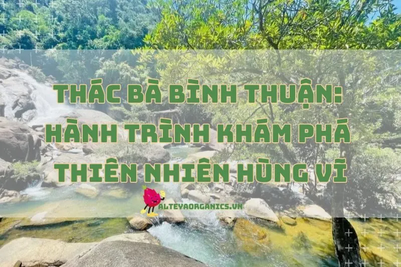 Thác Bà Bình Thuận 2025: Hành Trình Khám Phá Thiên Nhiên Hùng Vĩ