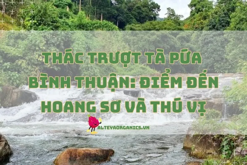 Thác Trượt Tà Pứa Bình Thuận 2025: Điểm Đến Hoang Sơ Và Thú Vị