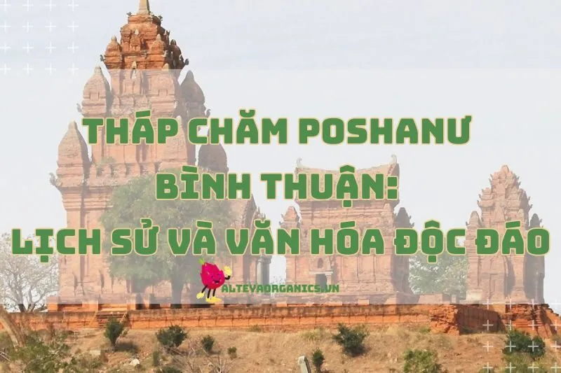 Tháp Chăm Poshanư Bình Thuận 2025: Lịch sử và văn hóa độc đáo