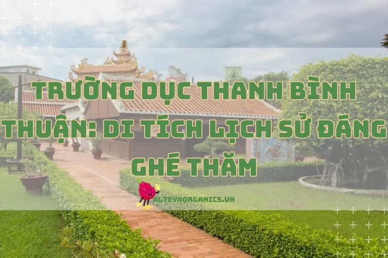 Trường Dục Thanh Bình Thuận: Di Tích Lịch Sử Đáng Ghé Thăm 2025